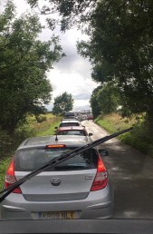 20375826_10154782828771526_1771179007851538427_n