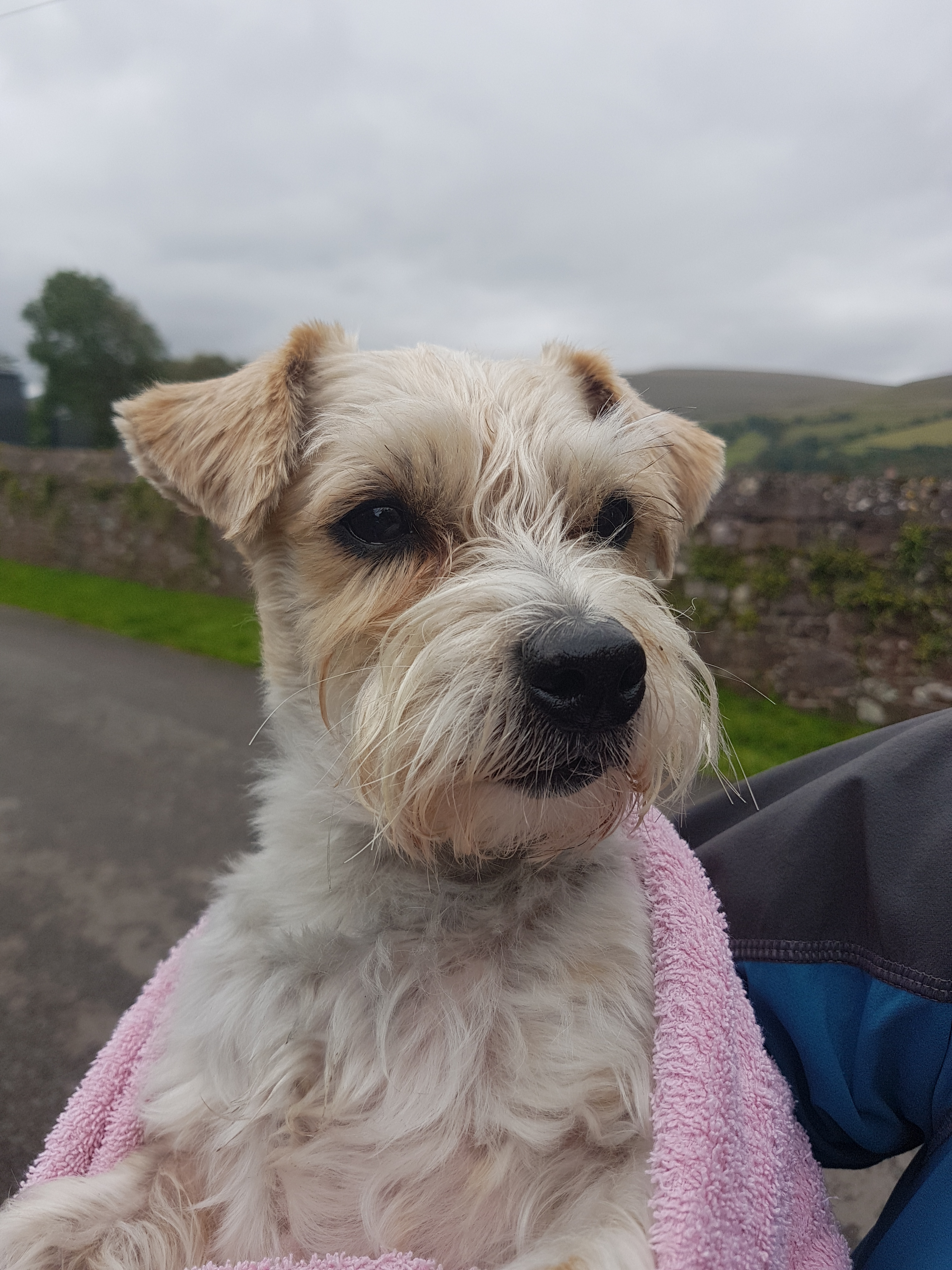 20170829_145320 - Copy